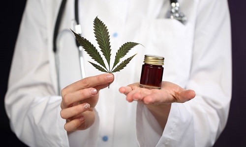 news Is Growing Cannabis at Home a Good Side Hustle?